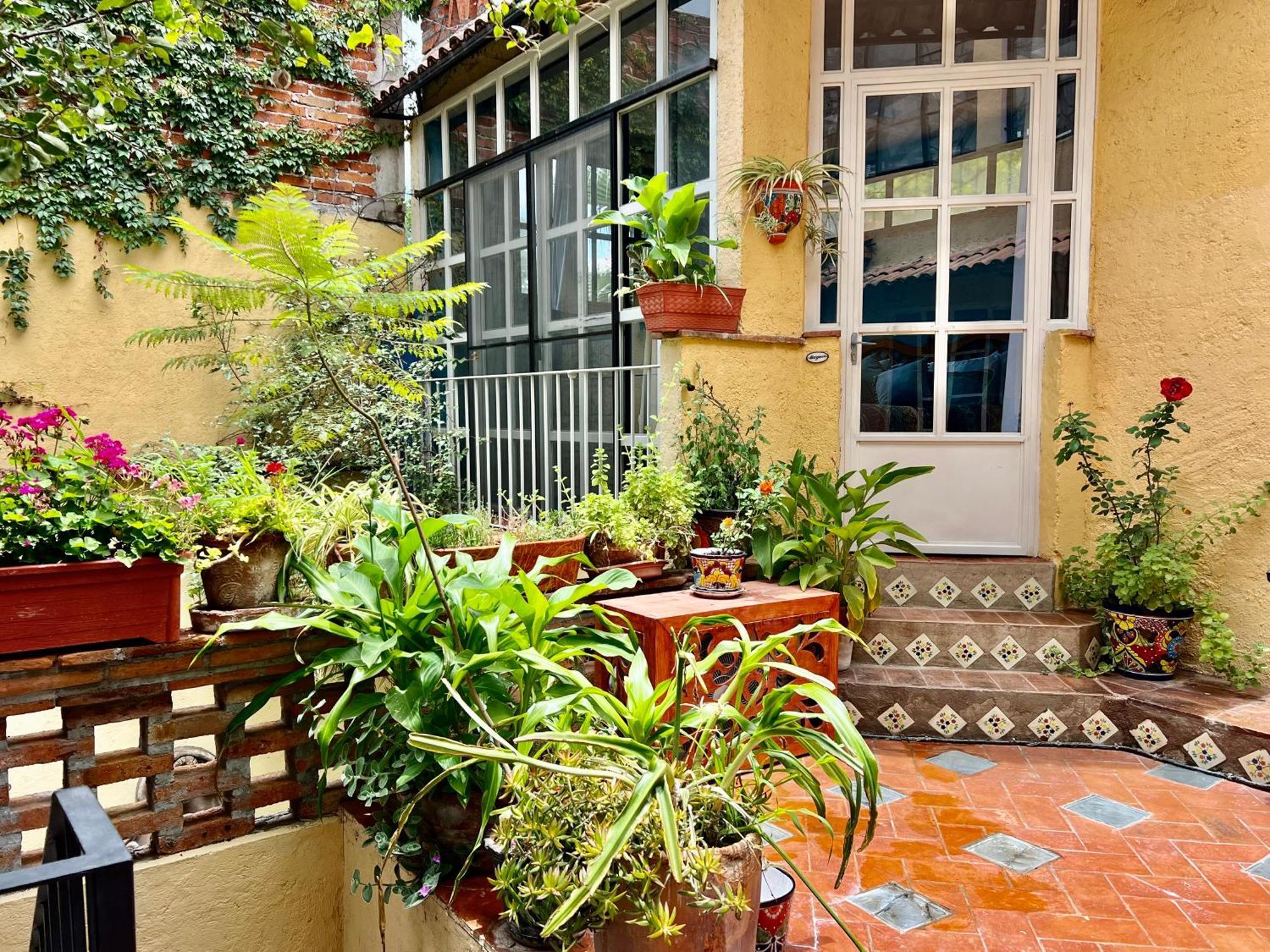 Boutique Hotel Casa Camellia San Miguel de Allende Exterior foto